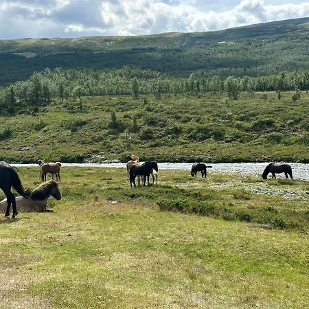 Koselig Med Uthus Pa Vakre Dovrefjell Dovre