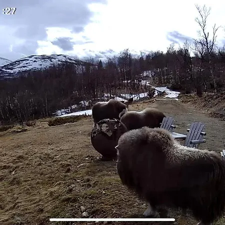 Koselig Med Uthus Pa Vakre Dovrefjell Dovre