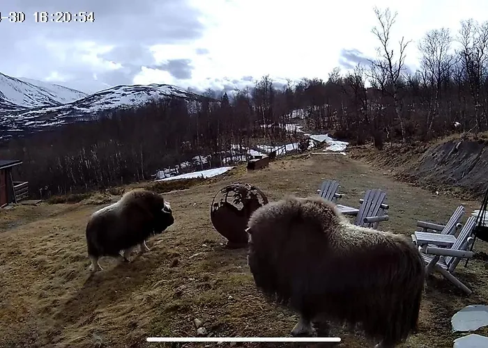 Koselig Med Uthus Pa Vakre Dovrefjell 別荘 Dovre