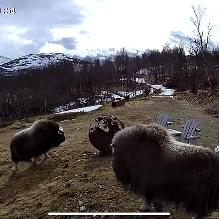 Koselig Med Uthus Pa Vakre Dovrefjell Сasa de vacaciones Dovre