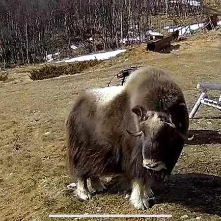 Сasa de vacaciones Koselig Med Uthus Pa Vakre Dovrefjell *