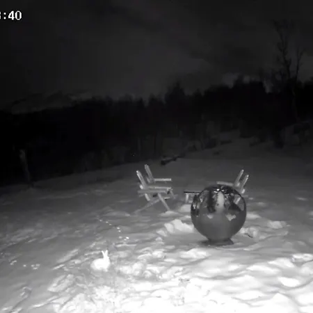 Koselig Med Uthus Pa Vakre Dovrefjell