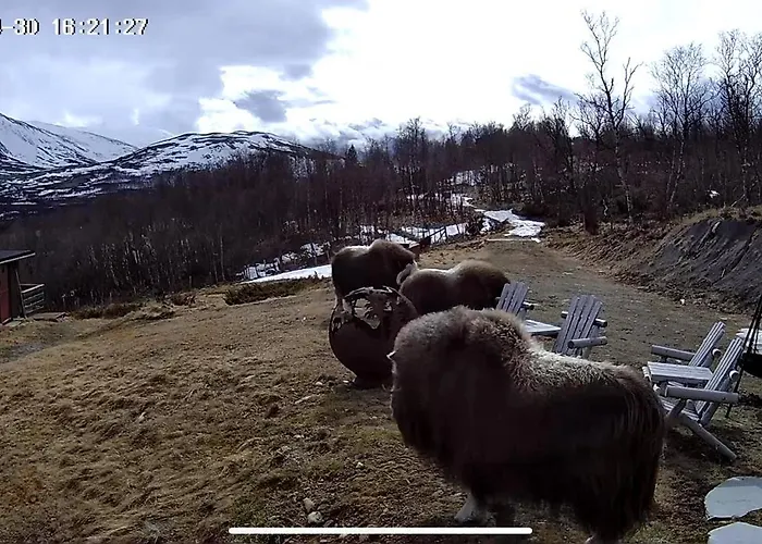 Koselig Med Uthus Pa Vakre Dovrefjell Dovre